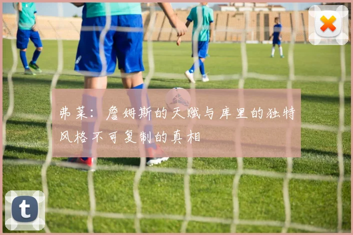 弗莱：詹姆斯的天赋与库里的独特风格不可复制的真相
