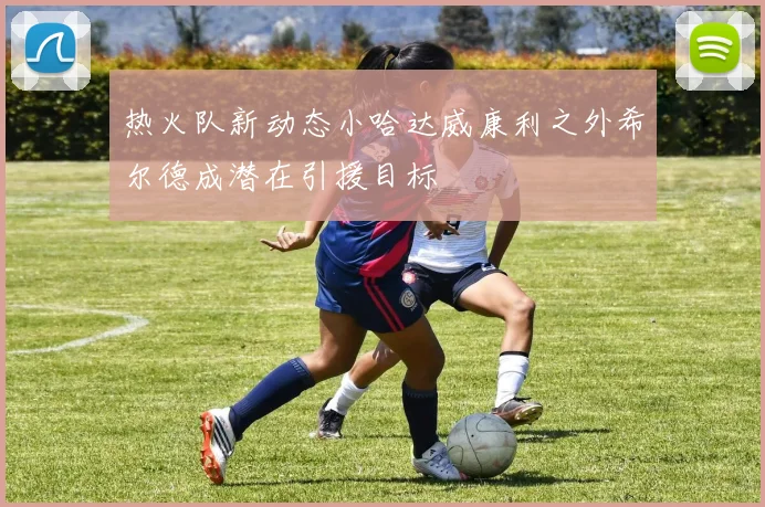 热火队新动态小哈达威康利之外希尔德成潜在引援目标